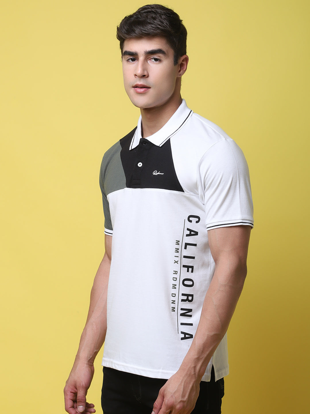 Typography Printed Colourblocked Polo Collar Cotton Slim Fit T-shirt