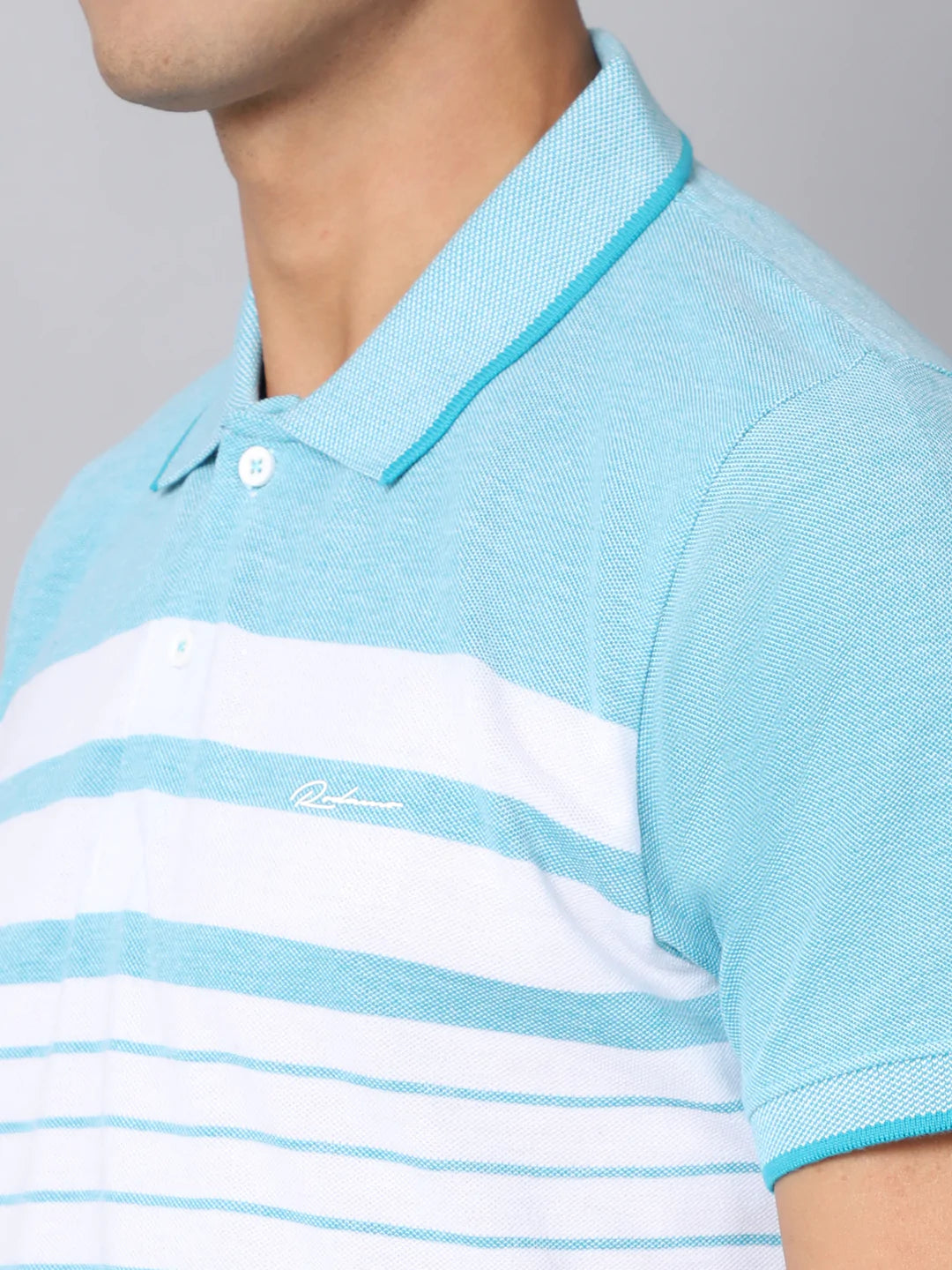 Men Multicoloured  tumbleweed Striped Polo Collar Slim Fit T-shirt
