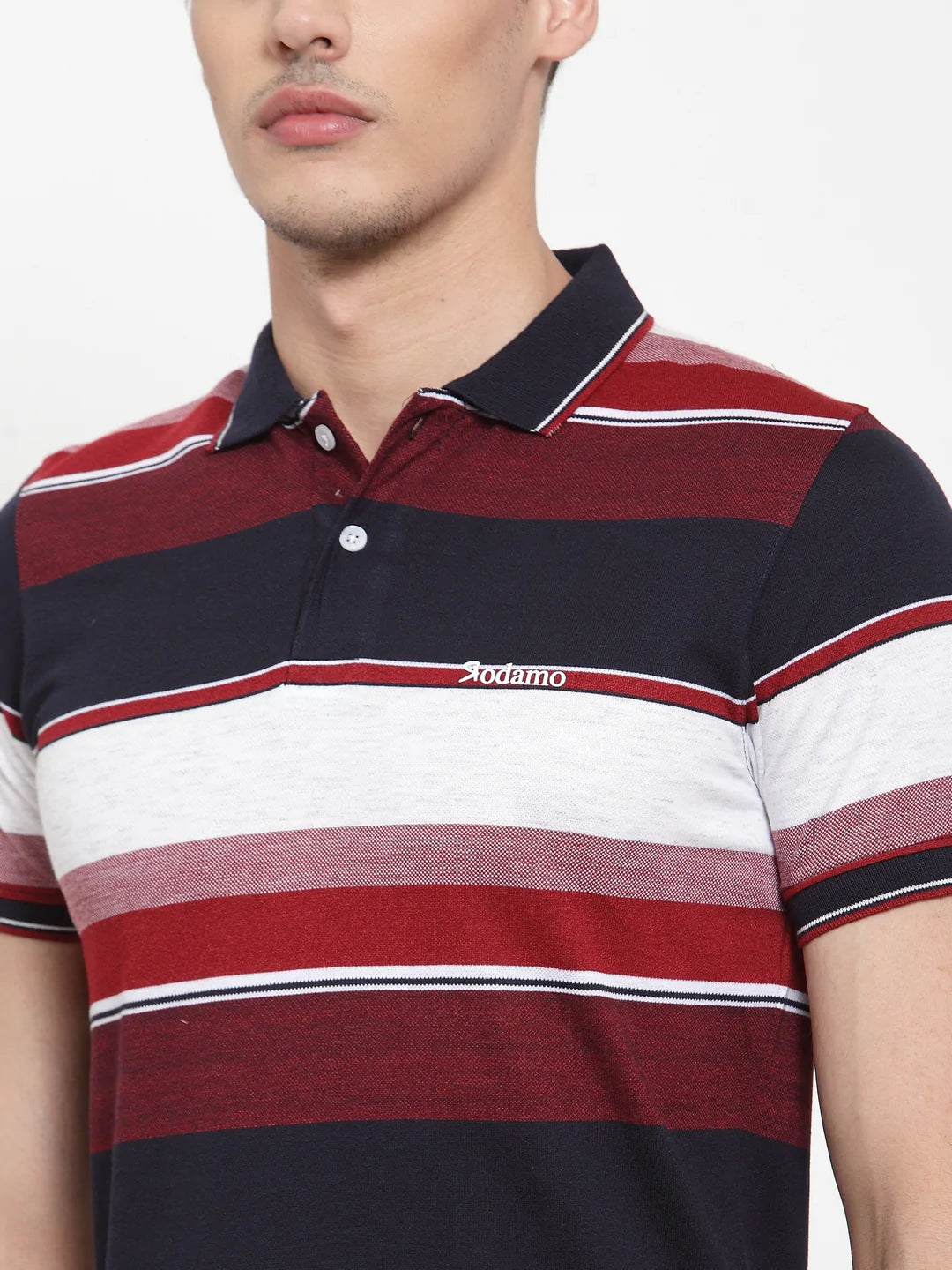 Men Maroon  Navy Blue Striped Polo Collar T-shirt